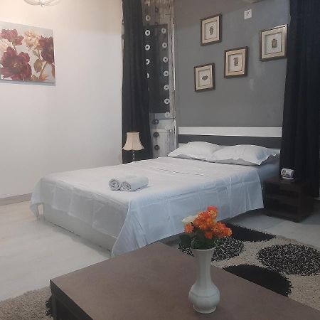 Studio Calea Victoriei Appartamento Bucarest Esterno foto